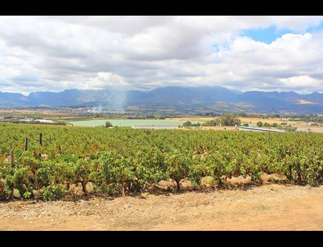 M² FARM FOR SALE IN PAARL NORTH